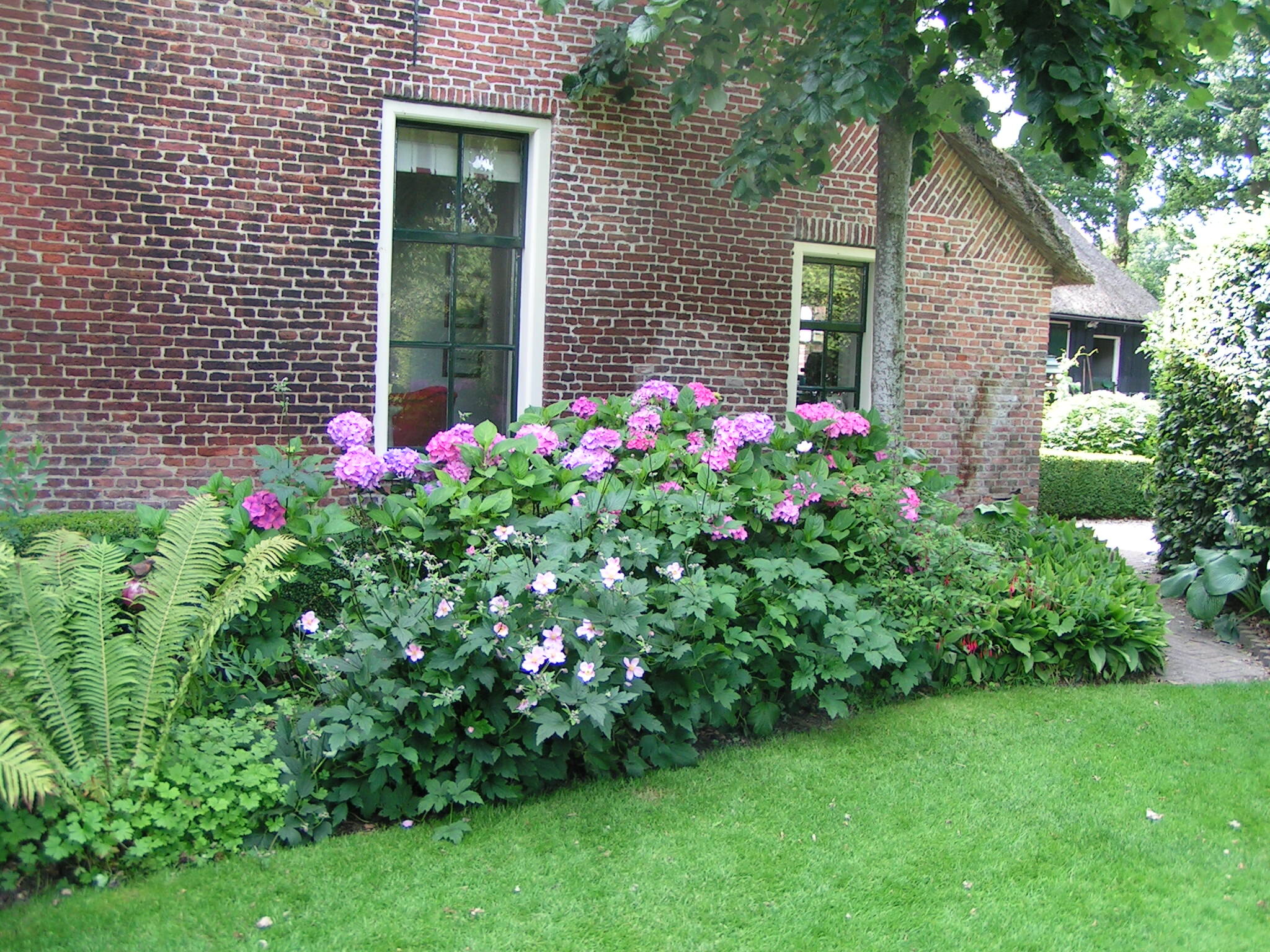 De tuin