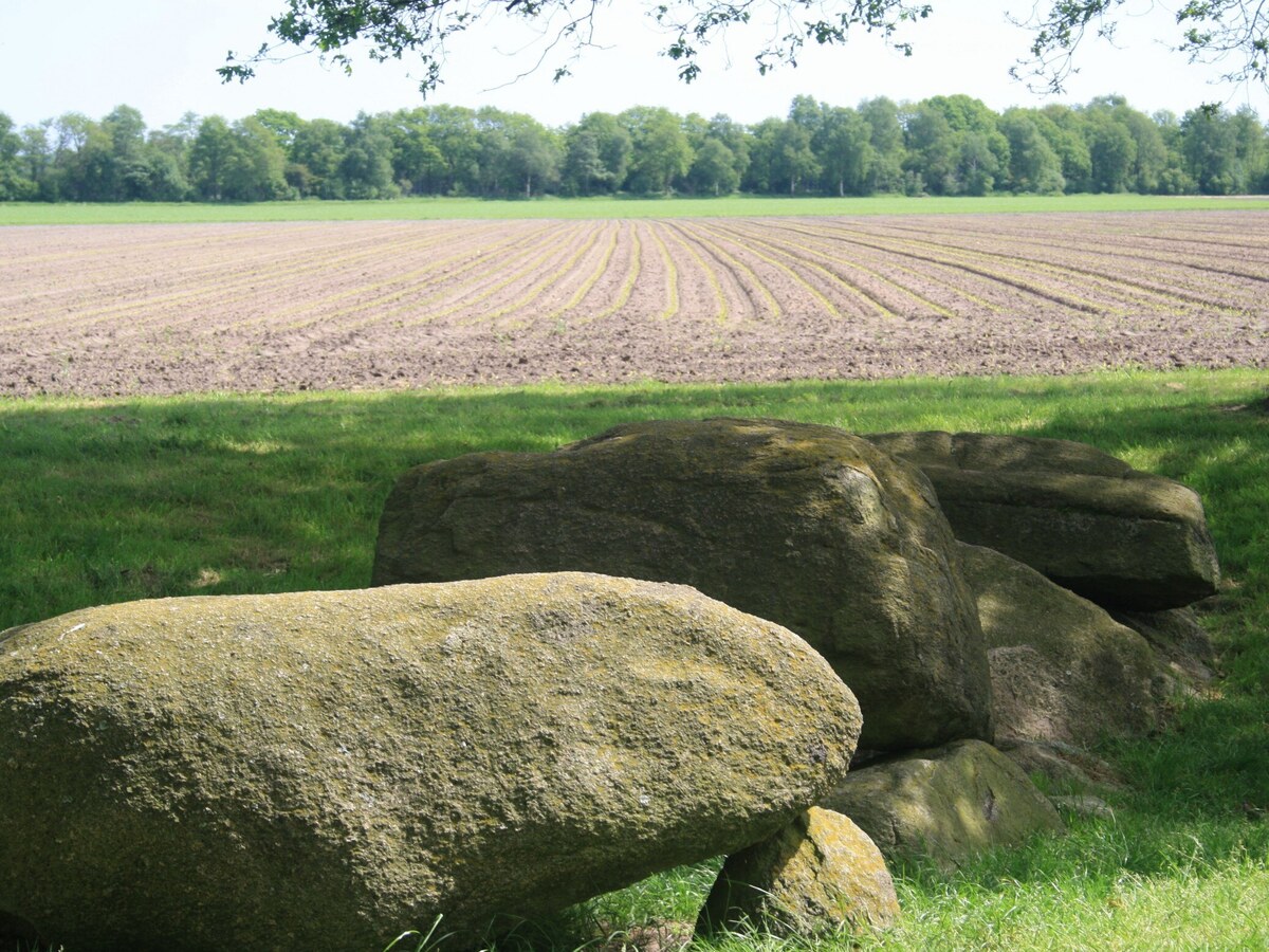 De omgeving