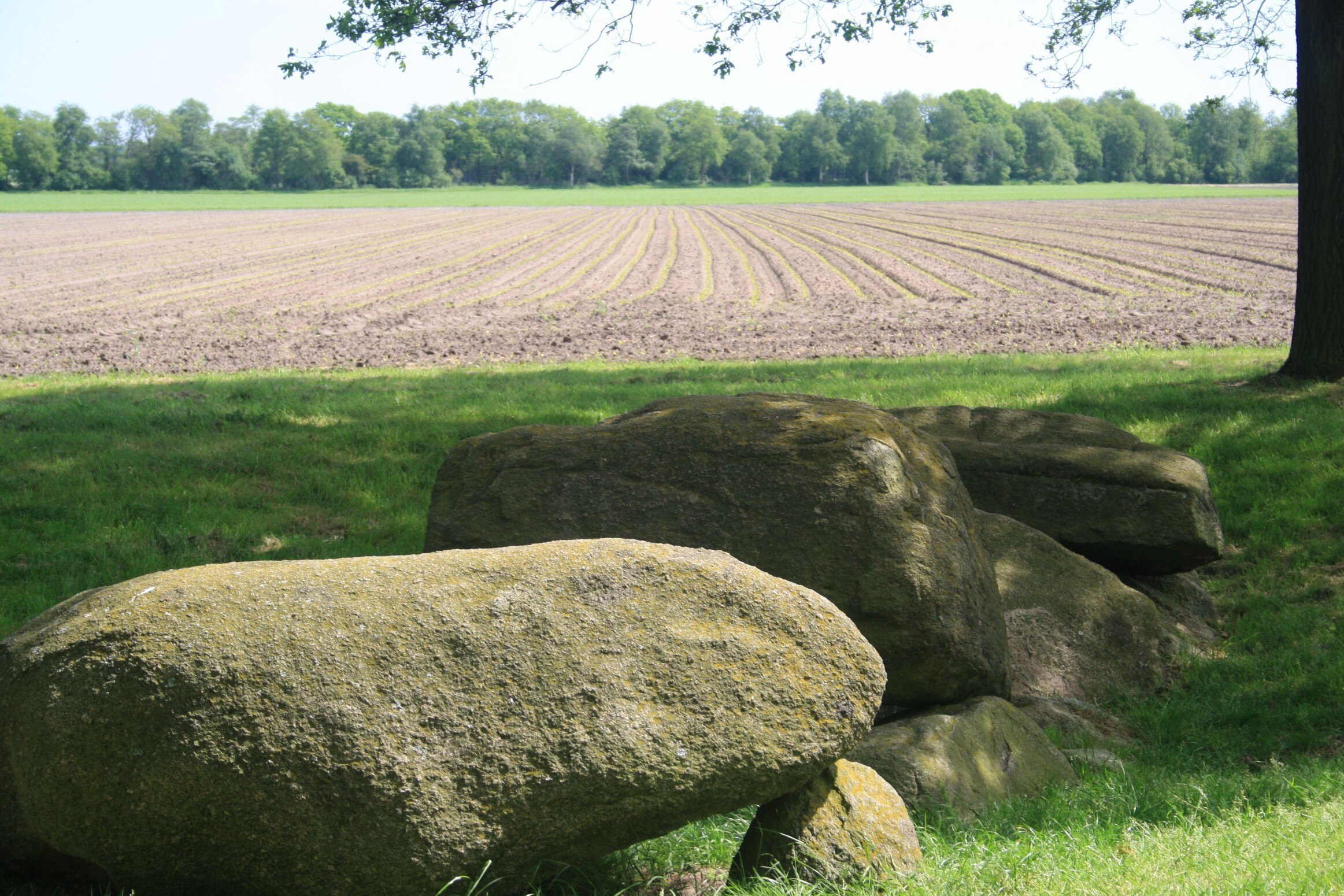 De omgeving