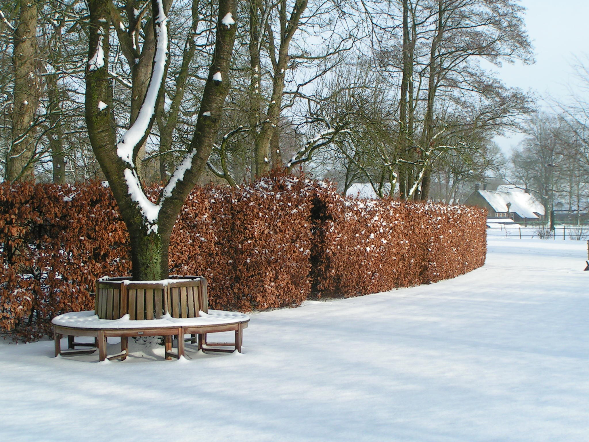 Winter in Peest